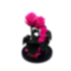 Bright pink Premium plus 1