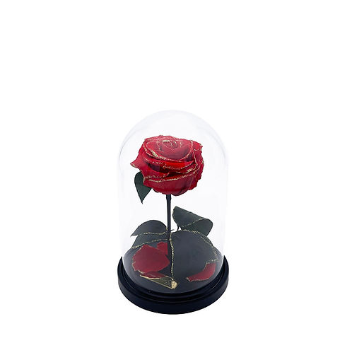 pngwing.com (64).png