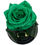 Thumbnail: Green rose in flask