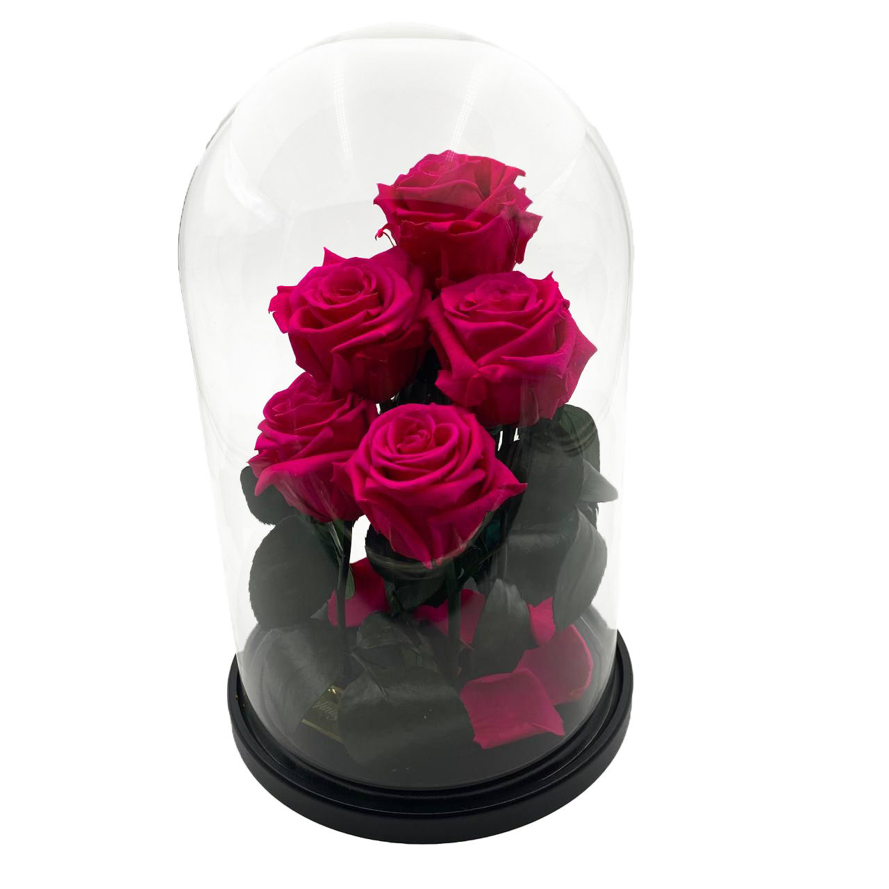 Rožu pušķis kolbā Fuksijas krāsā