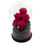 Thumbnail: Fuchsia bouquet of roses in flask