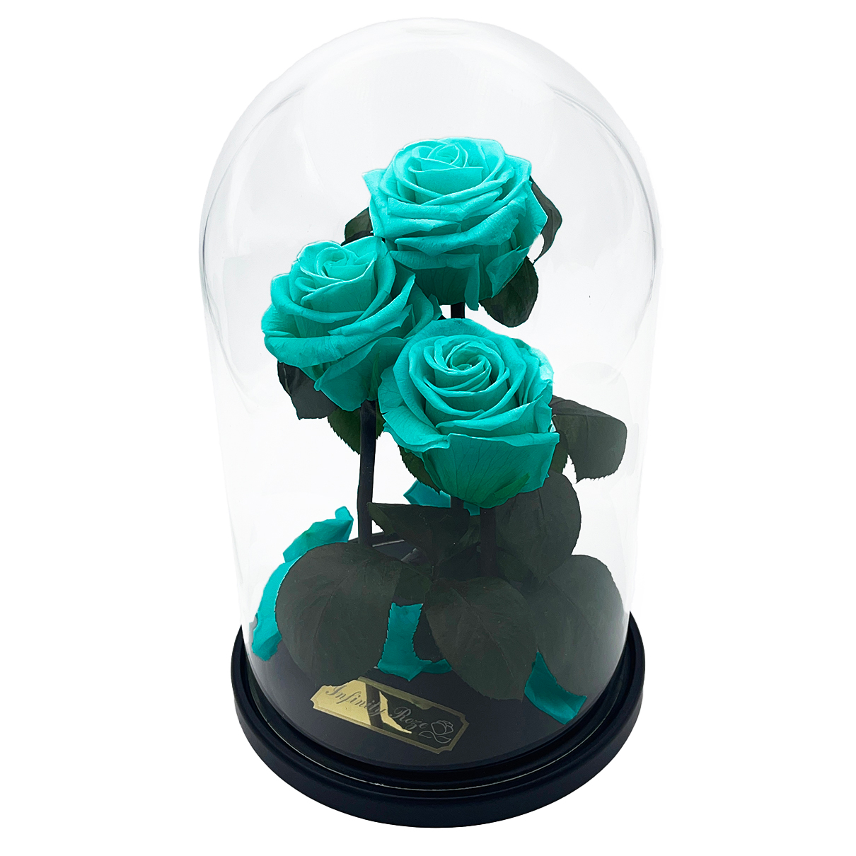 Roze kolbā Tirkīza krāsā