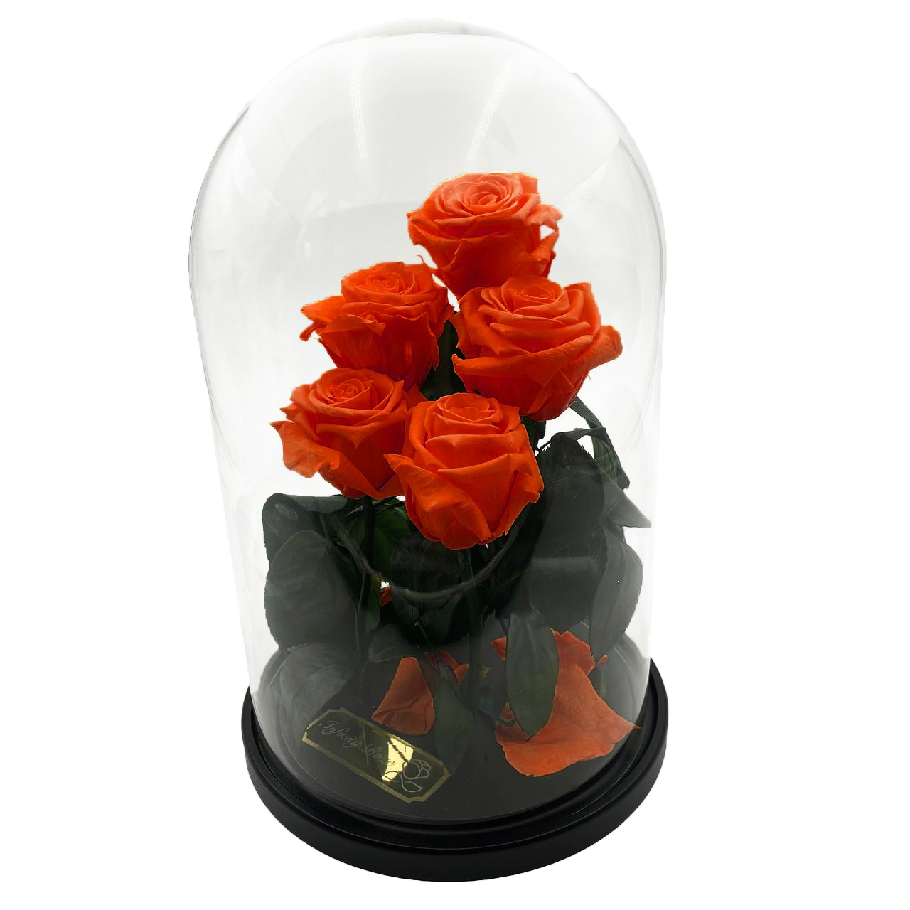 Orange bouquet of roses in flask