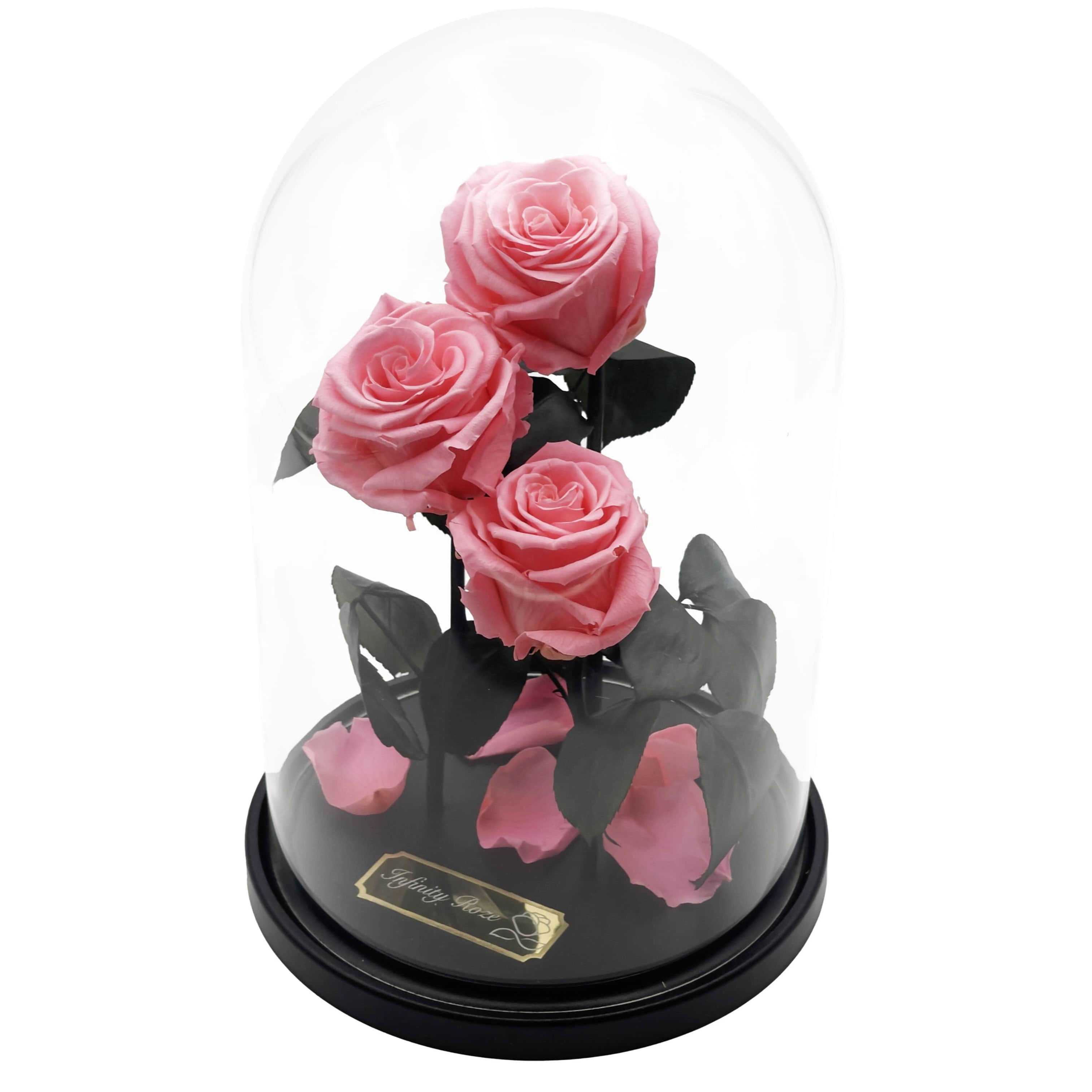 Šviesiai rožinė rožė kolboje