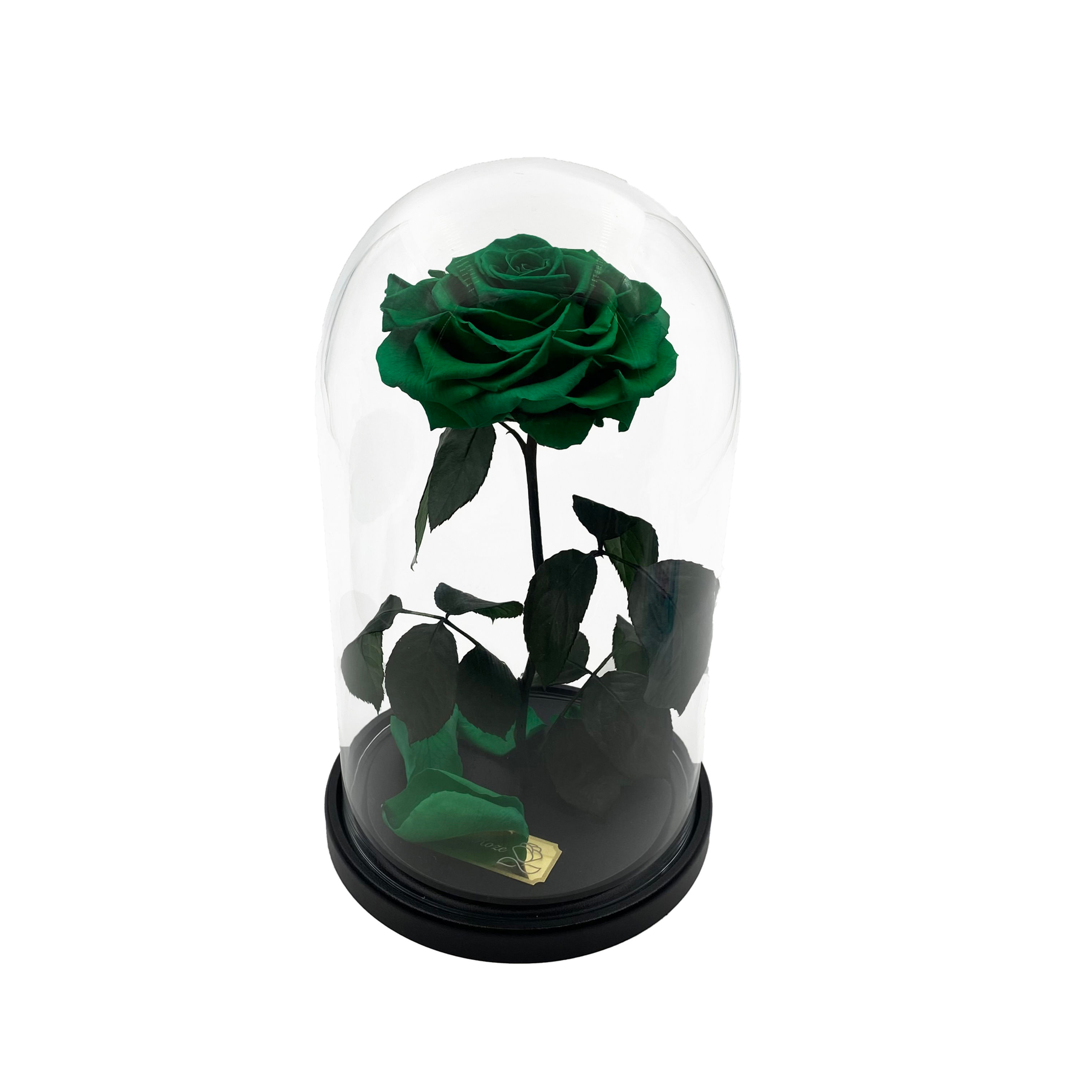 Зеленая роза в колбе