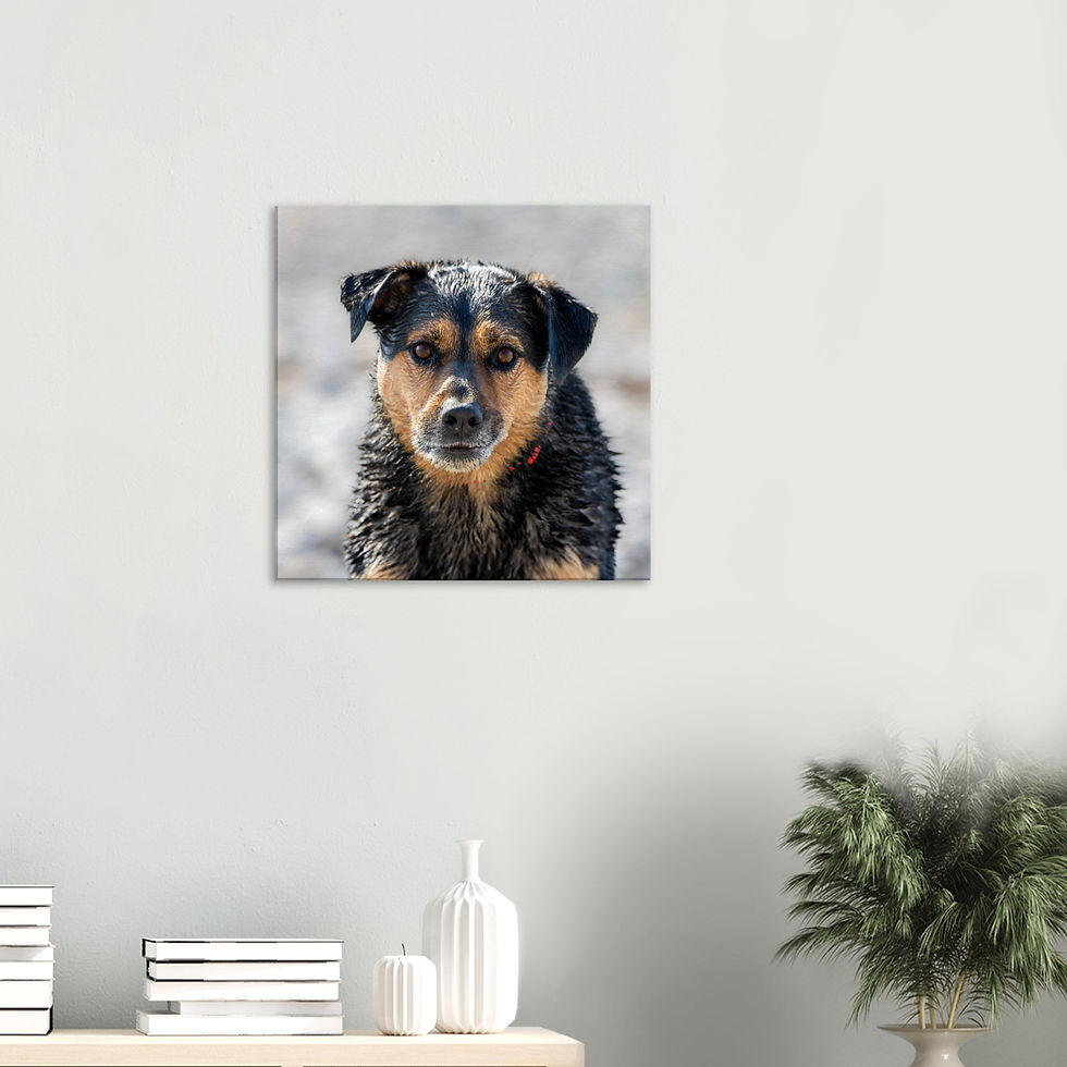 Thumbnail: Client Canvas - Square Canvas