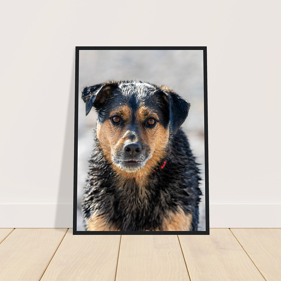Thumbnail: Client Print - Premium Wooden Framed Semi-Gloss Print - Portrait