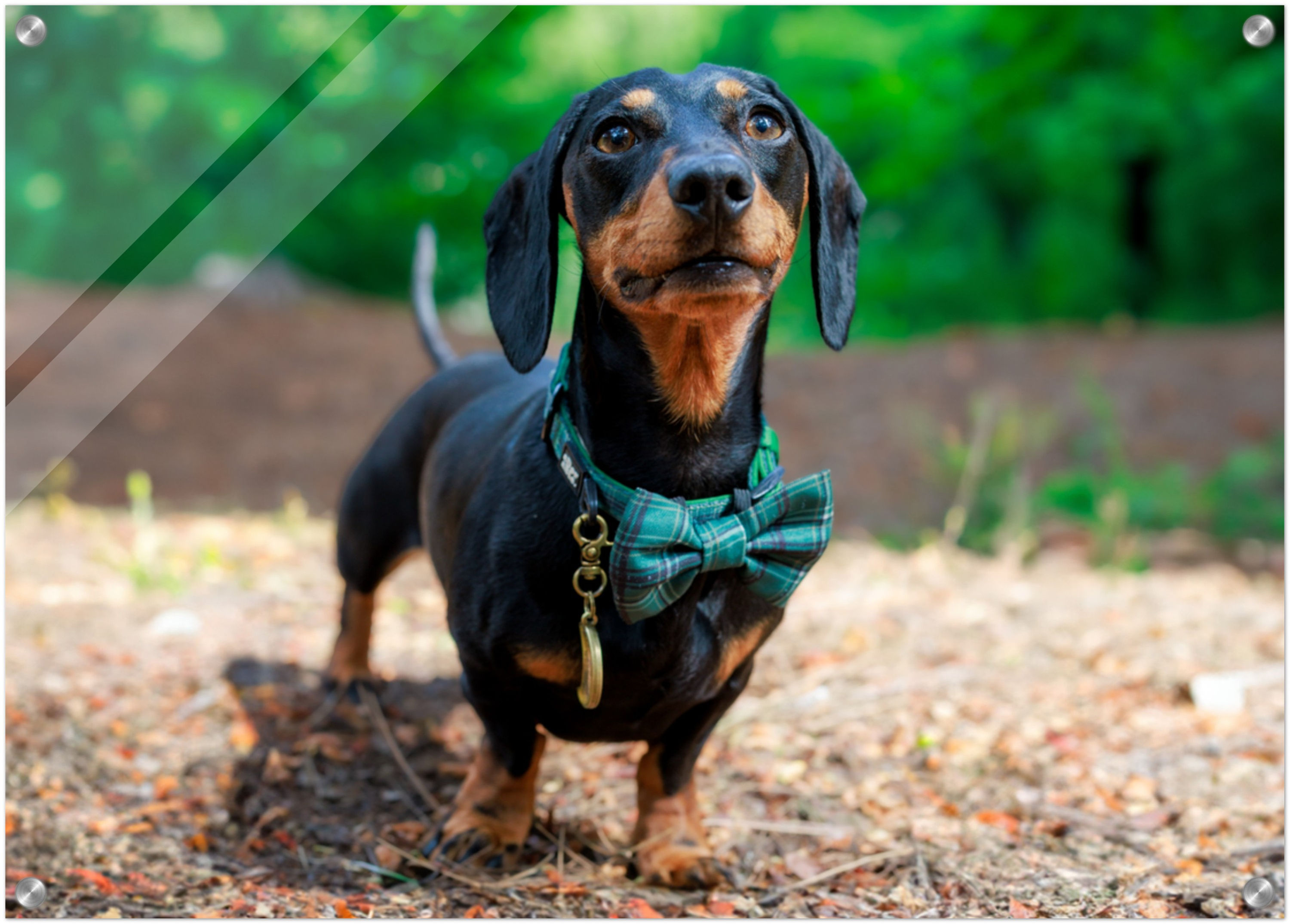 Client Print - Acrylic - Landscape