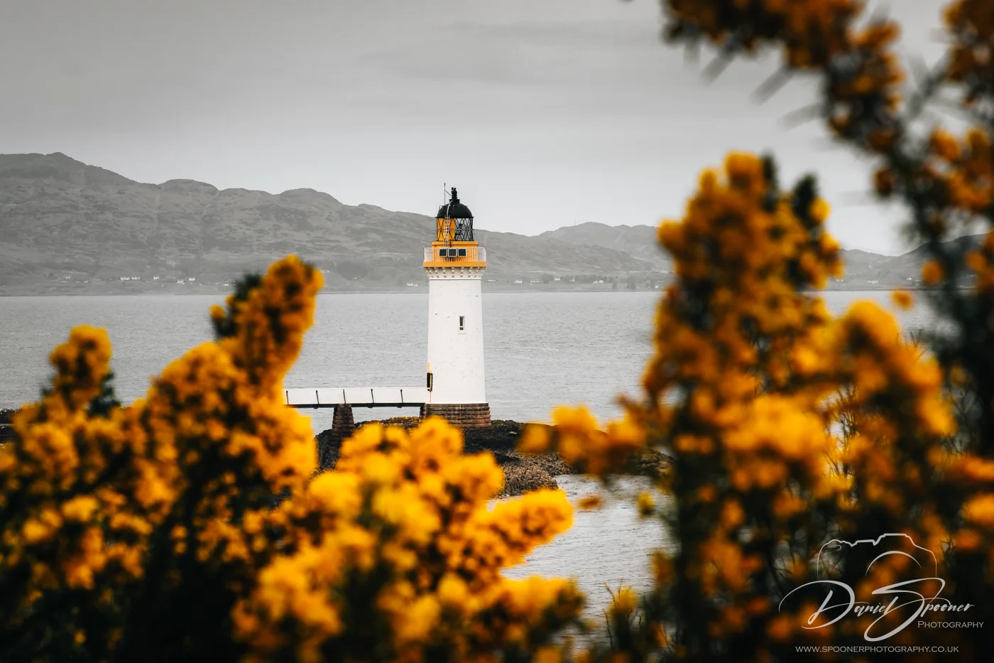 Gorse-lined trail leading to the Rubha nan Gall Lighthouse near Tobermory.
