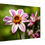 Thumbnail: M001 - Dahlia Flower Slim/Thin Canvas