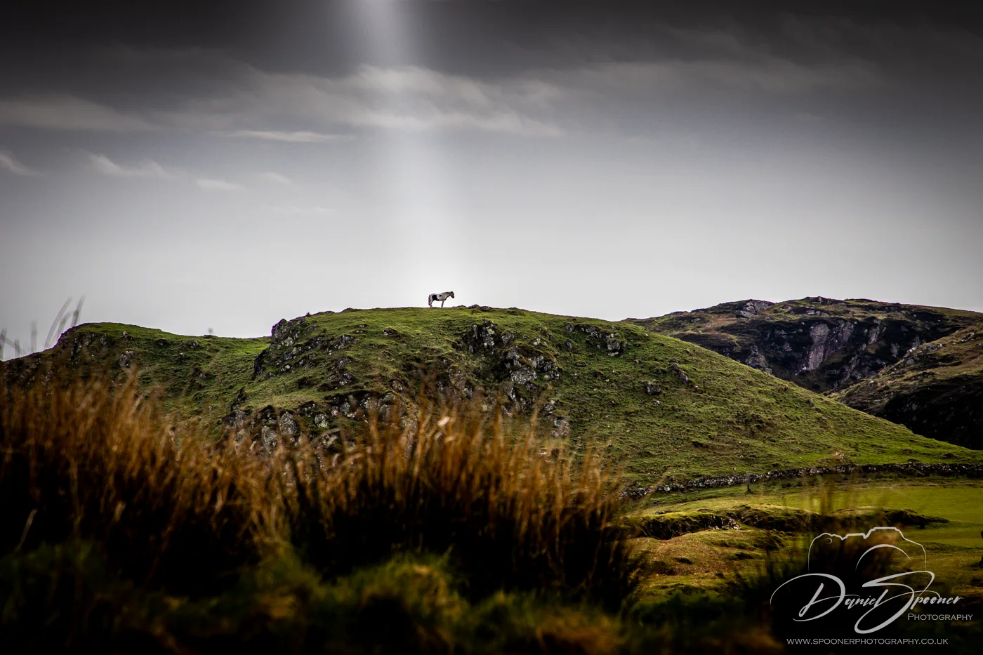 A solitary white horse on a green hill at Uisken Beach, lit by a shaft of sunlight breaking through overcast skies, creating a cinematic and serene atmosphere.