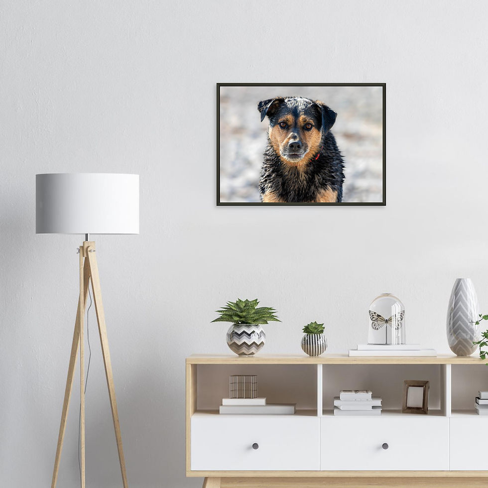Thumbnail: Client Print - Premium Semi-Gloss Finish Metal Framed Print - Landscape