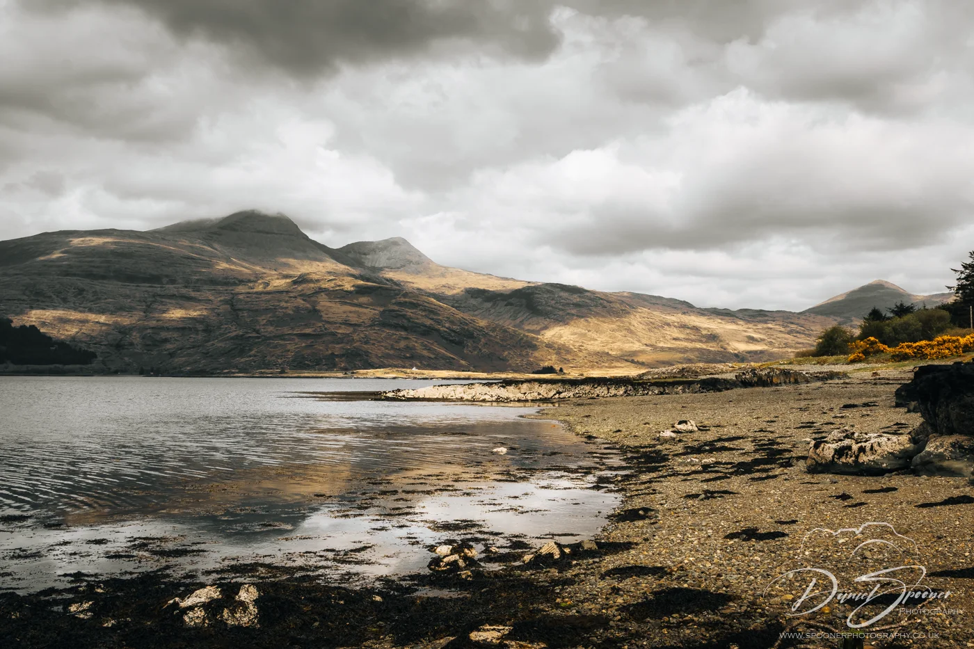 Detailed textures of the rocky coastline at Loch 