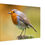 Thumbnail: W002 - Robin on tree stump Slim/Thin Canvas