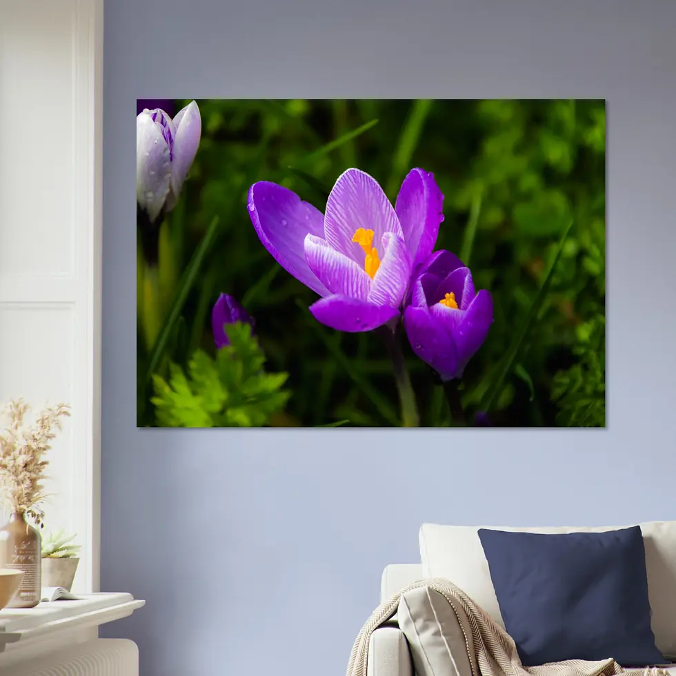 Thumbnail: Macro Collection - Premium Print