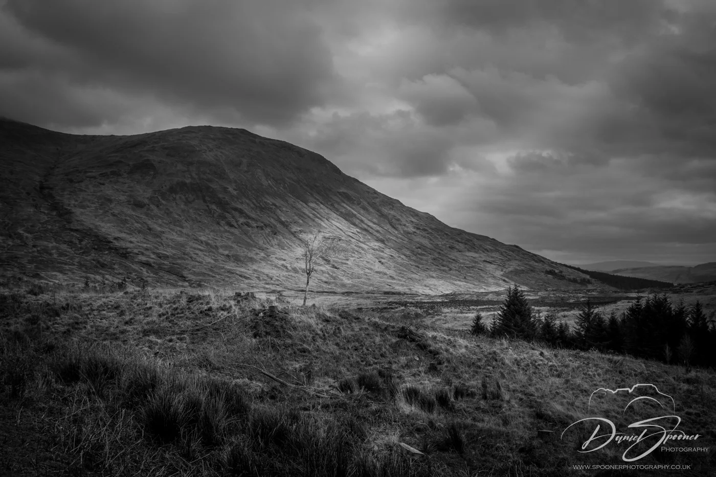 Black and white photo of a lone tree in a Highland valley with cloudy skies and distant mountains.