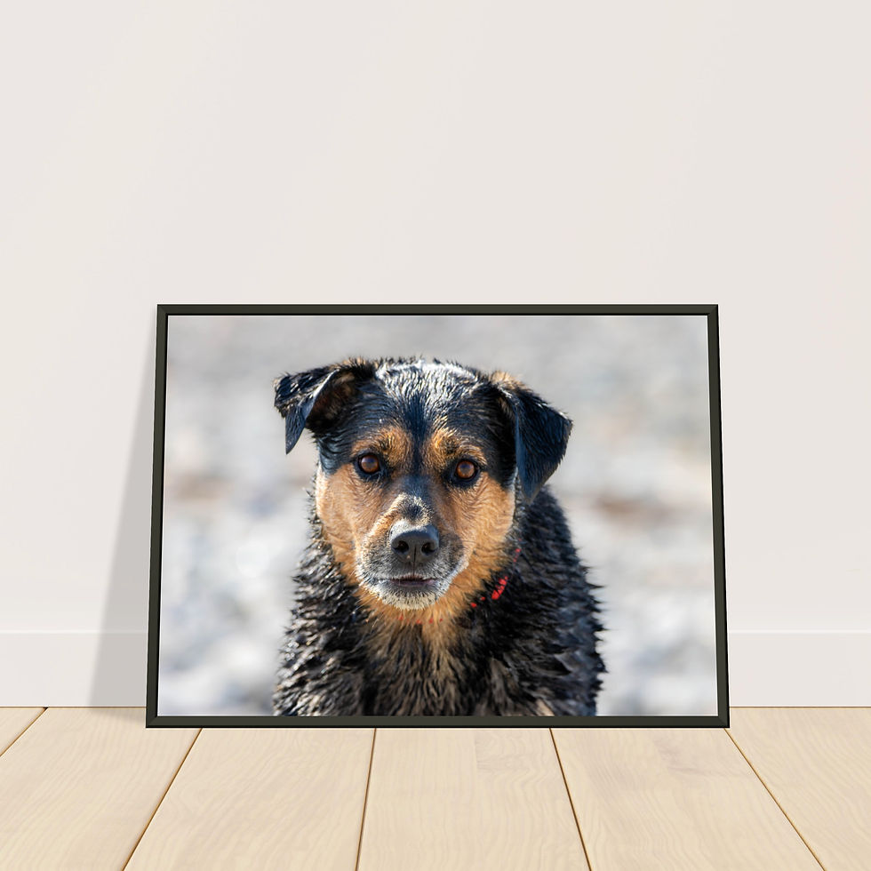 Thumbnail: Client Print - Premium Matte Finish Metal Framed Print - Landscape