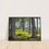 Thumbnail: L002 - Enchanting Scottish woodland