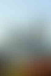 Central Park New York Skyline NYC