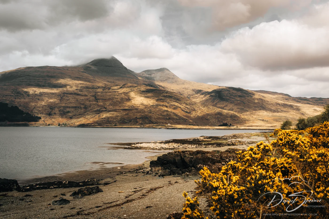 Loch Scridain surrounded by rugged terrain and bright gorse.