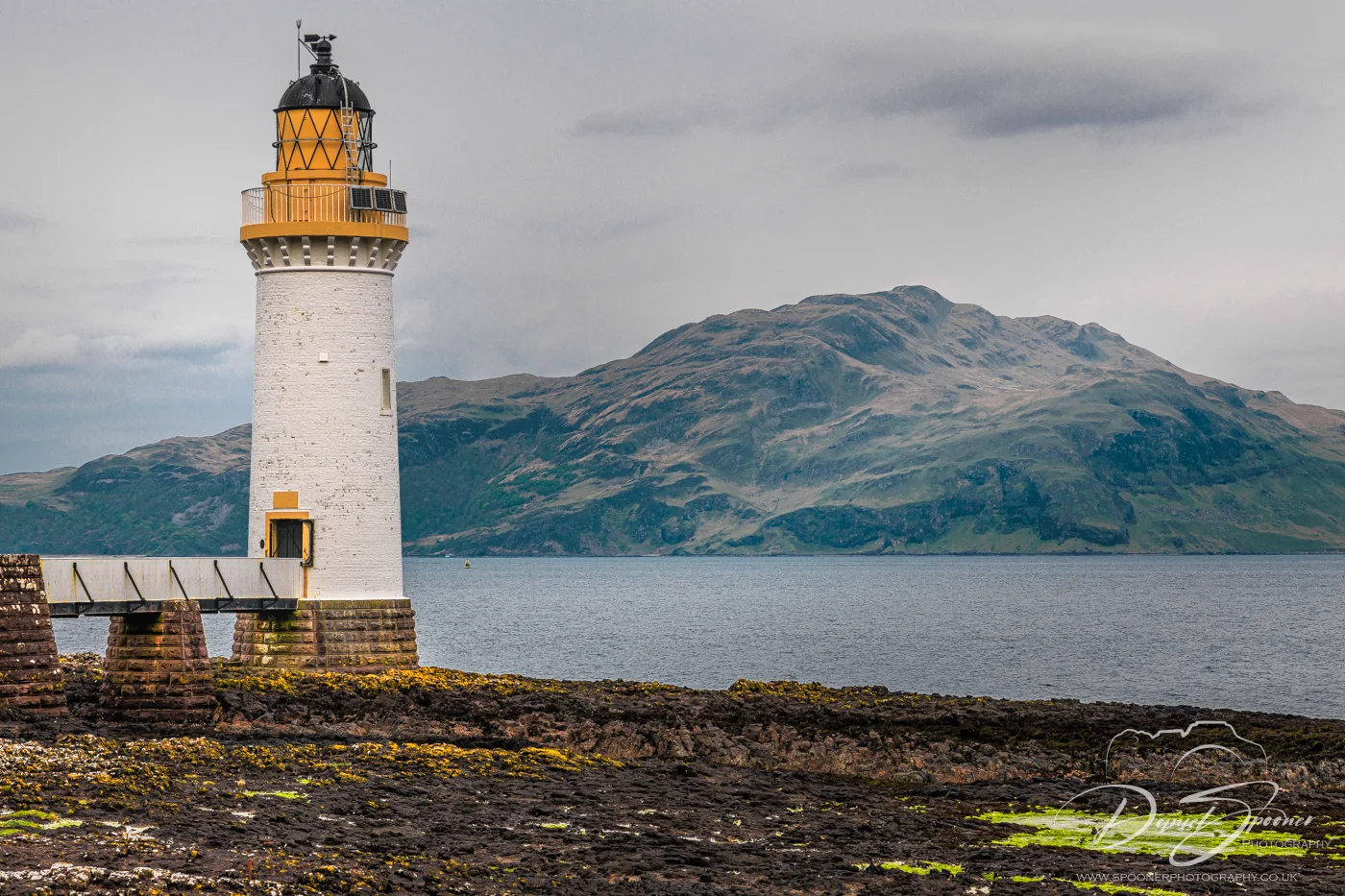 Tobermory Lighthouse at golden hour framed by wild vegetation.