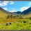 Thumbnail: L016 - Nature's artistry