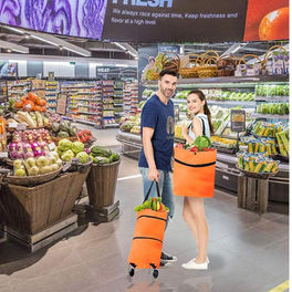 Trolley Shopping Bag 