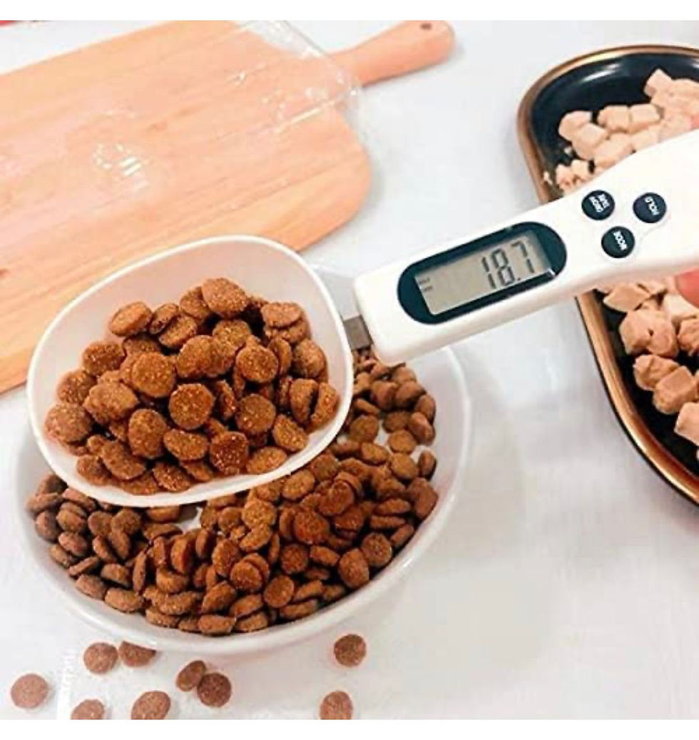 Digital Measuring Spoon