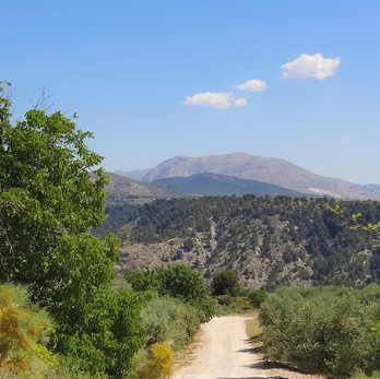 CONDUCCIÓN TODOTERRENO Y CICLISMO CON HERMOSAS VISTAS