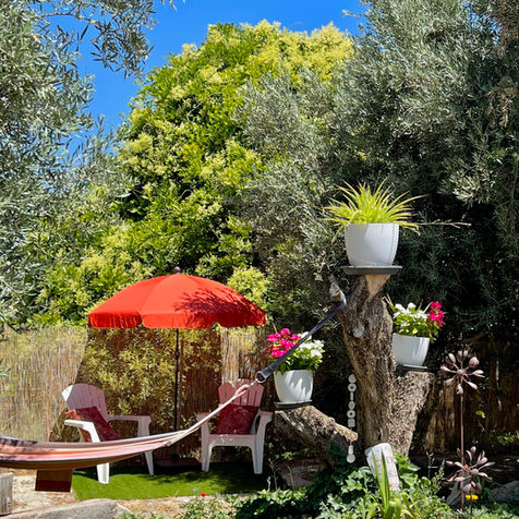 Couple hammock in the garden