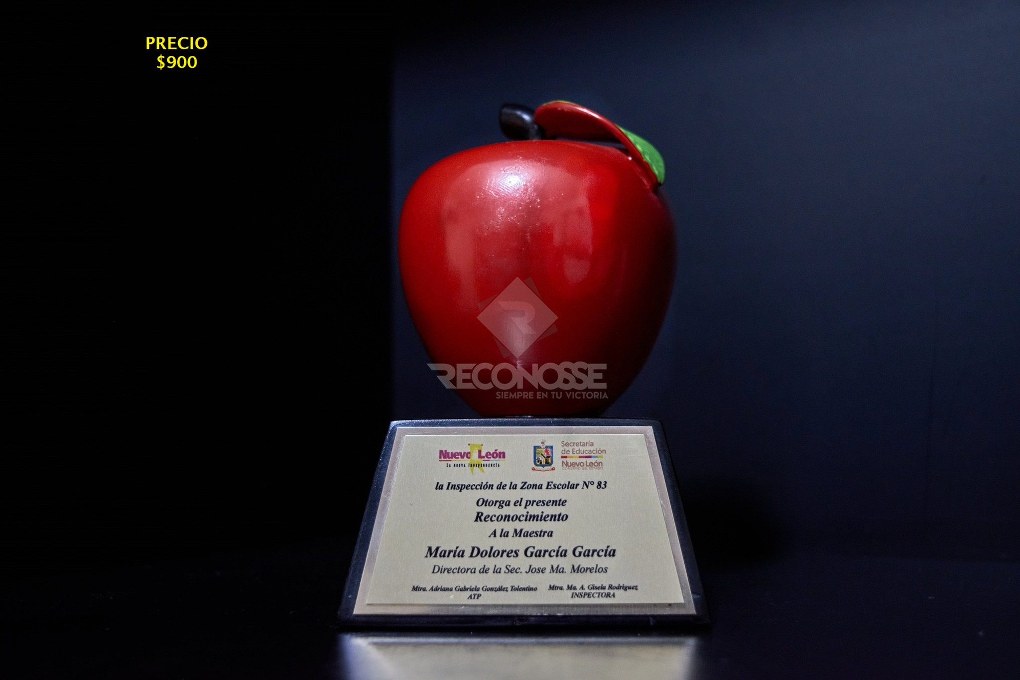 RECONOCIMIENTO CON MANZANA