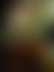 Llamado a la solidaridad con el Centro Social ABRA de Cuba