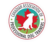 Untitled design (9)_edited.png