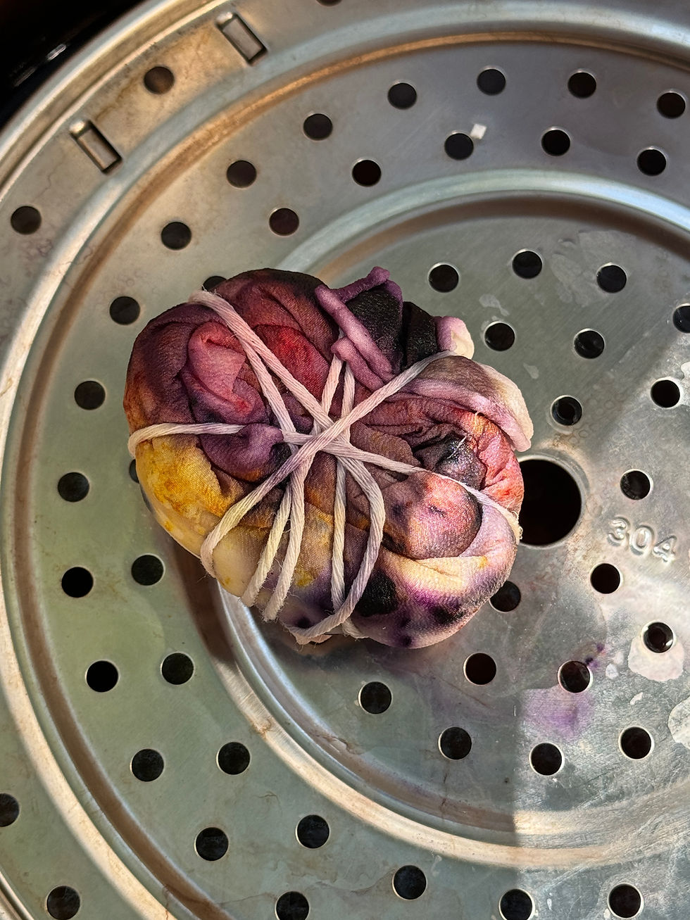 Thumbnail: Botanical Bundle Dye Kit