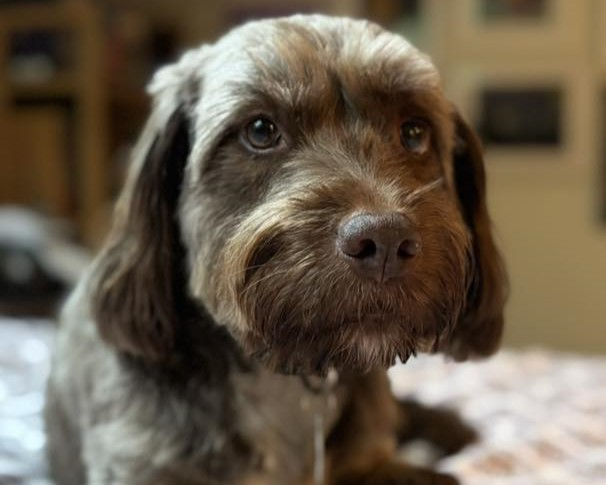 567893244_10164542059199467_4169899889230217509_n