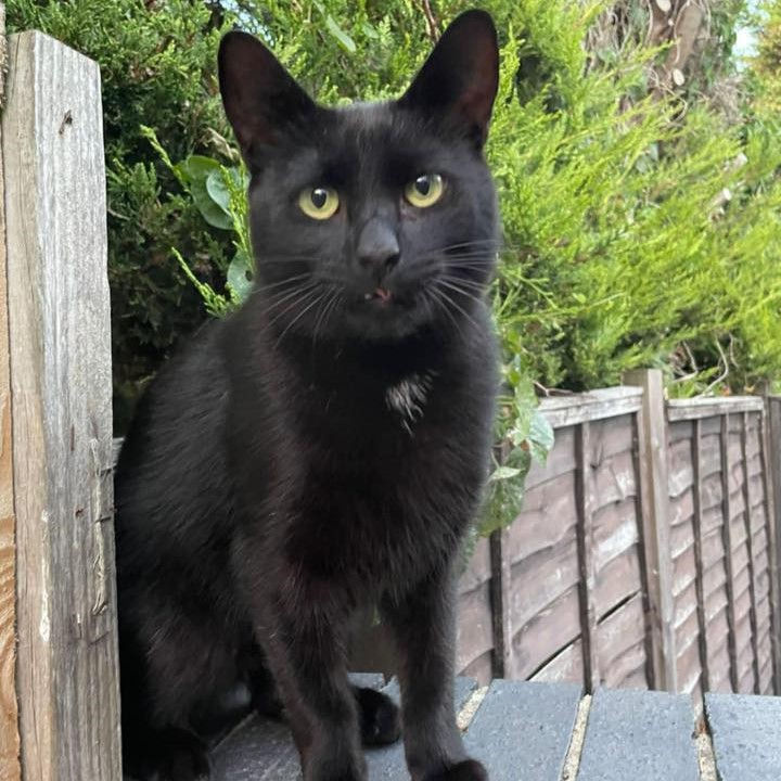 568411979_10163474962054269_8111081011055722909_n