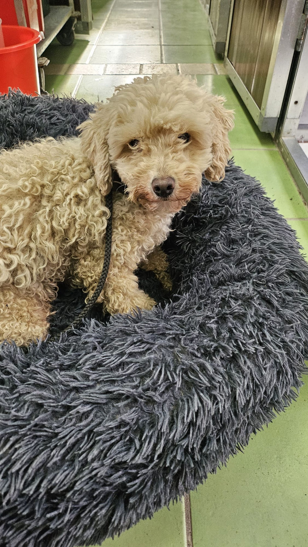 0614938b-262a-4b8b-bda2-d58ed1c1340c