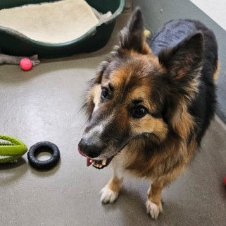 WhatsApp Image 2026-04-03 at 10.44.24 (Phone)