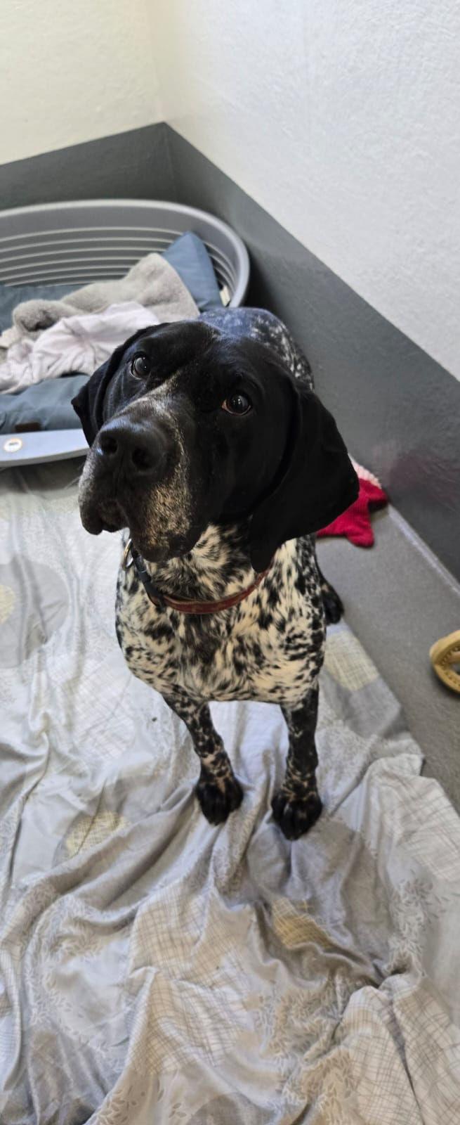 e54ea695-298b-4578-9627-79fa53585fcd