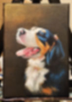 Levi the Mountain Dog