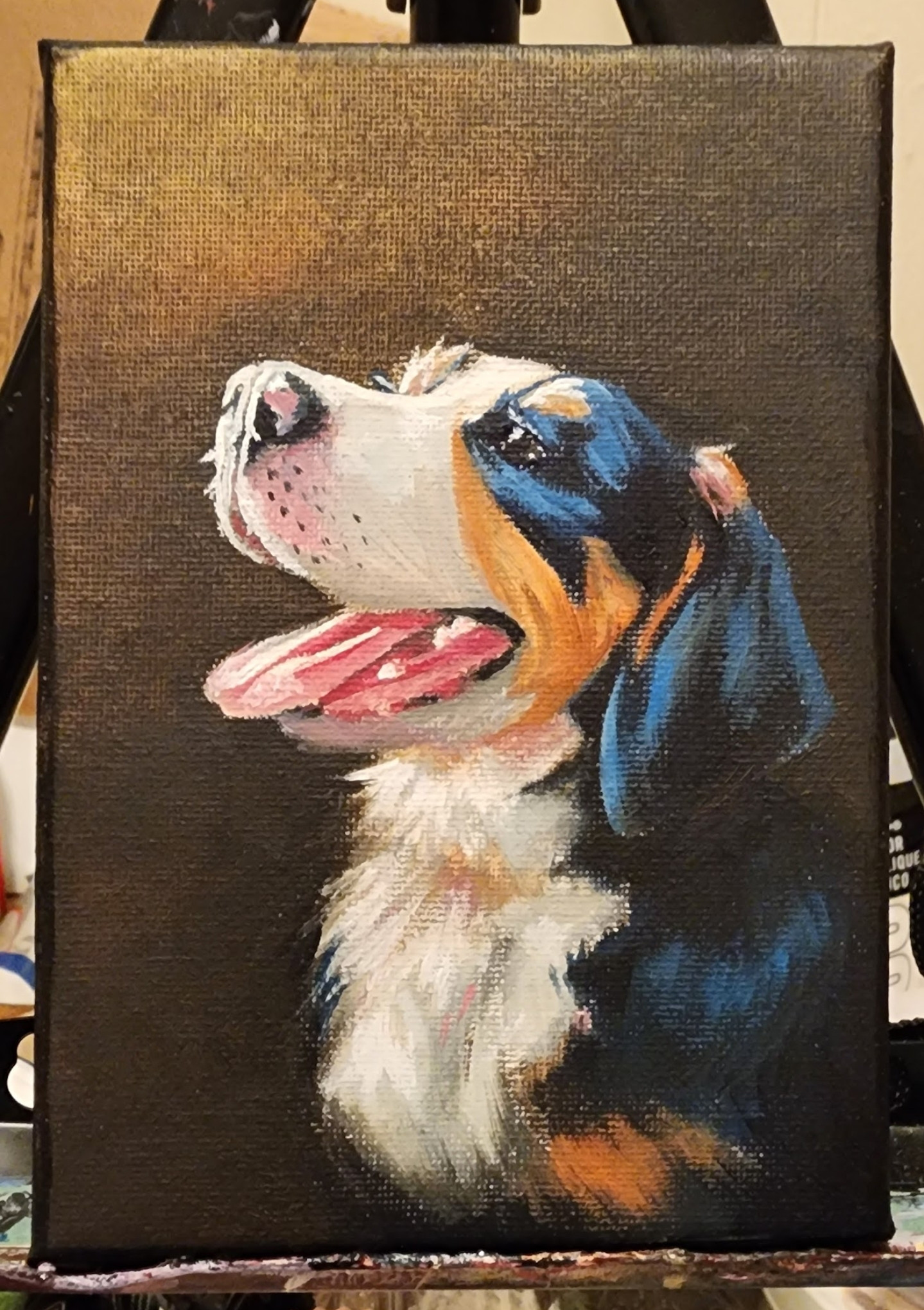 5x7 Pet Portrait