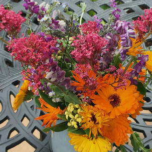 Garden Party, Laughter Vaccine, Laminate or Not, Waste Not
