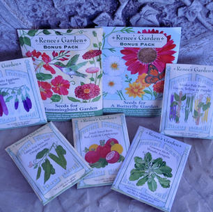 4-28-21 Healthy Weight, Quality Seed, Leaving our Comfort Zone