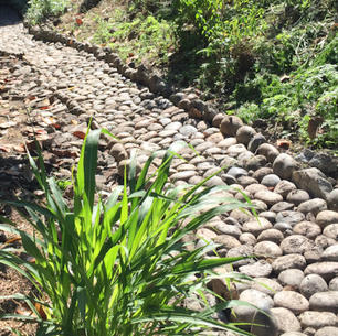 5-26-21 Landscaping for Fire Prevention, National Parks, Outdoors Tranquility