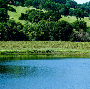8-4-21 Water Matters, Climate Change Effects, Back to School Tips