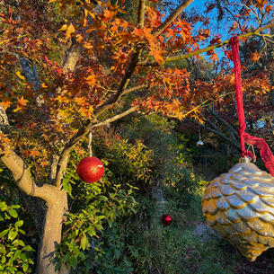ornaments on fall trees