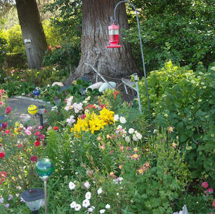 Hummingbird Garden