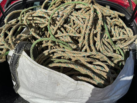 More ghost gear recovered from the shore - Hayle this time