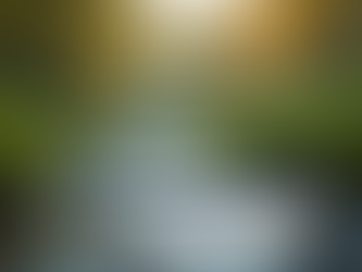 The Power of Mindfulness in Everyday Life