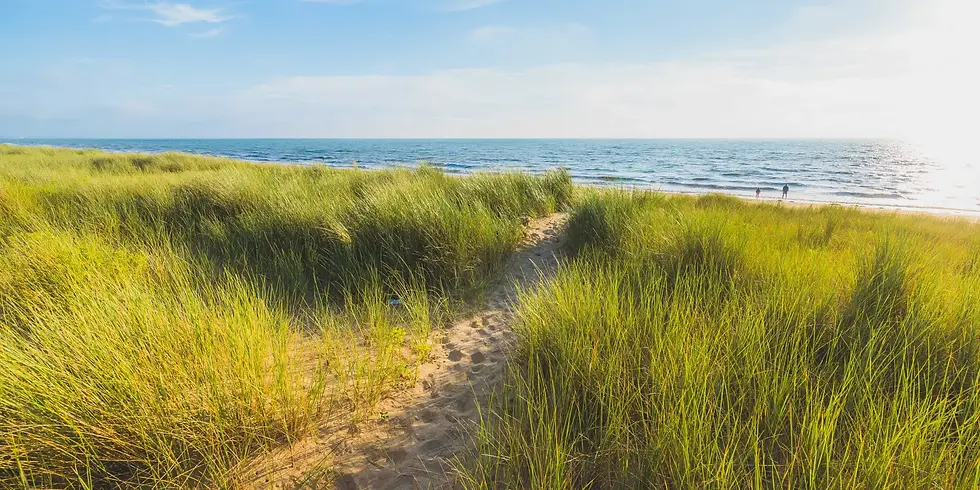 sentier-vers-la-mer-a-annoville-1920x960.webp